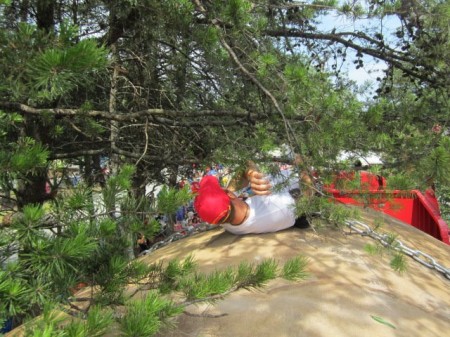 531689_393921220666635_1738117283_n